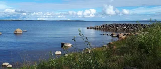 Läsarbilden                   