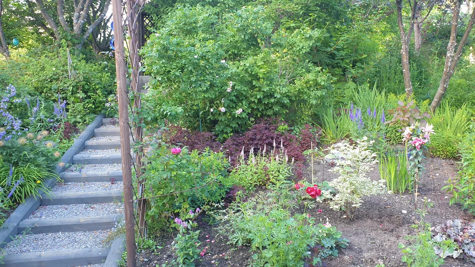 Grönskande trädgård i Hortlax.