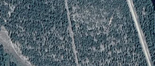 Ägarbyte för gård i Byske