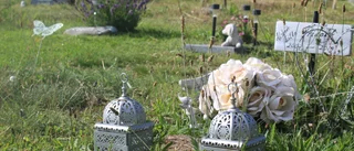 Blommor och minnen på djurkyrkogården