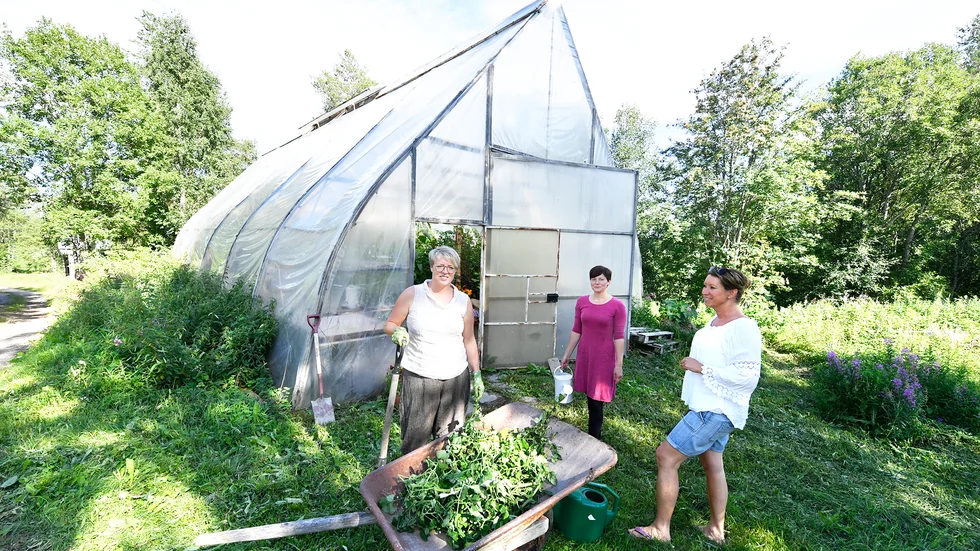 I början av juli så var det invigning i det gamla växthuset. ”Vi är så glada att fastighetsägaren har kunna upplåta växthuset till oss”, säger Sofia Vallgren.
