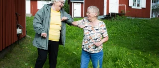 Boomer och coronahälsning – kan du årets nya ord?