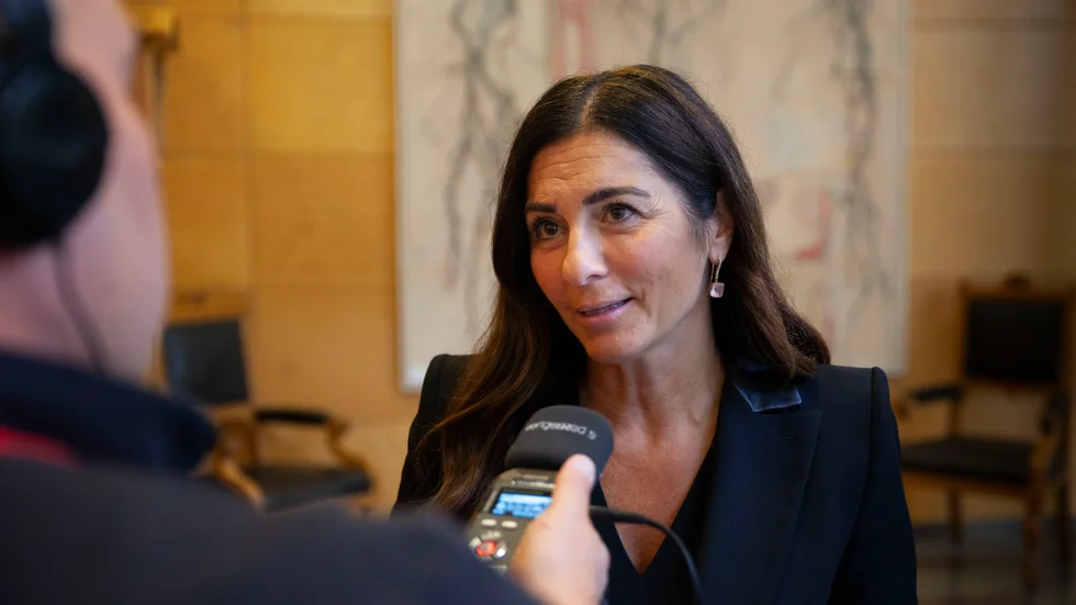 Elisabeth Massi Fritz företräder sju anhöriga till den mördade pojken Mohamad Ammouri.
