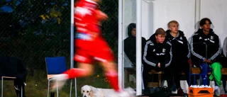 Bildspel: Här är Petra Älvstrands bilder från finalen