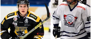 LHC-arna startade företag – för andra ishockeyspelare