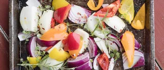 Skolmaten: När köttet togs bort försvann proteinerna 