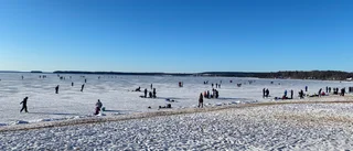 Varamon i istider: Så skötte sig besökarna