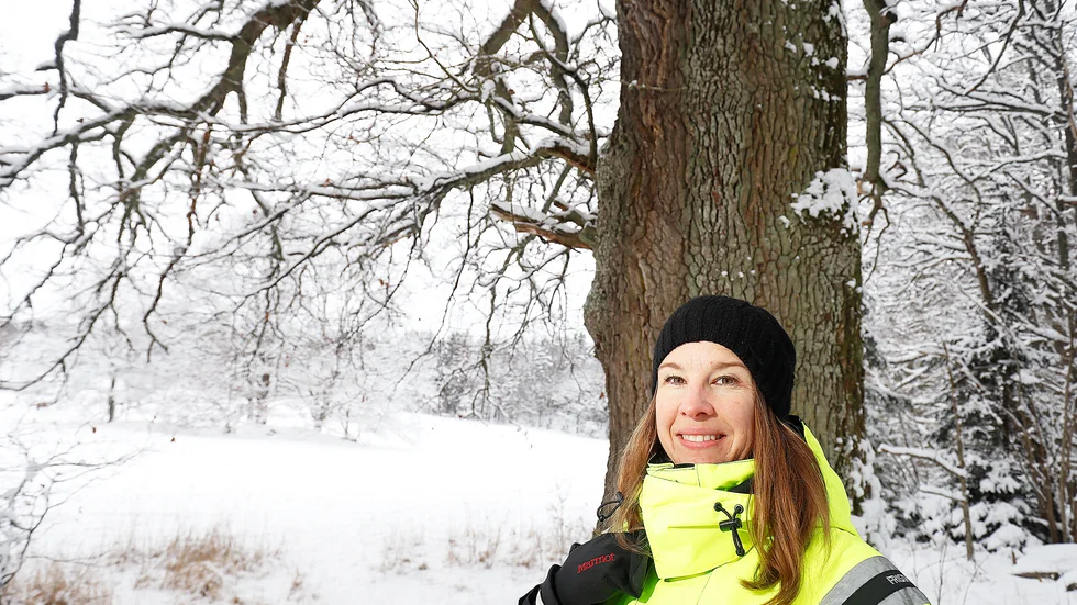 Kommunbiologen Charlotta Kjellström hoppas att Kronskogen, som bland annat innehåller flera skyddsvärda träd, ska förbli en idyll även i framtiden.