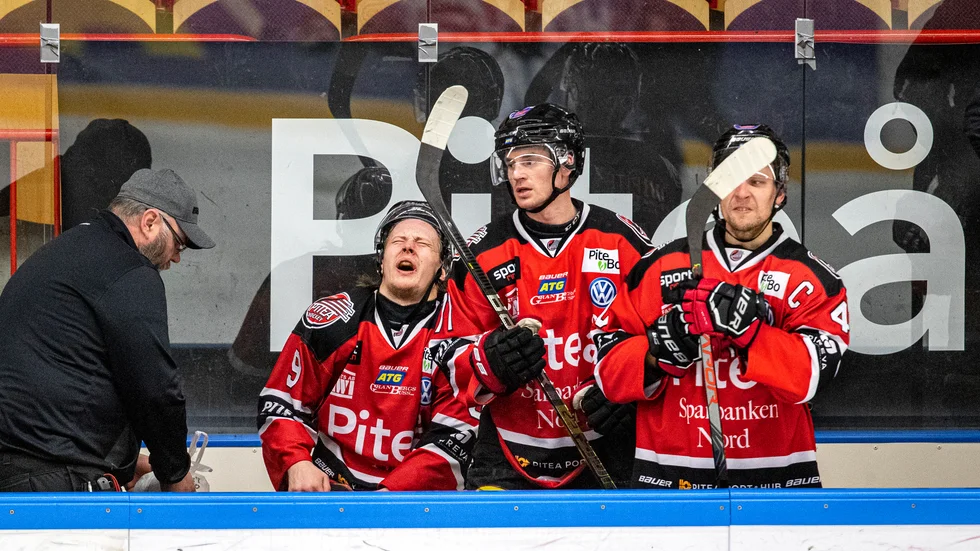 Piteå Hockey har vunnit mot alla och förlorat mot alla lagen i Allettan under säsongen.
