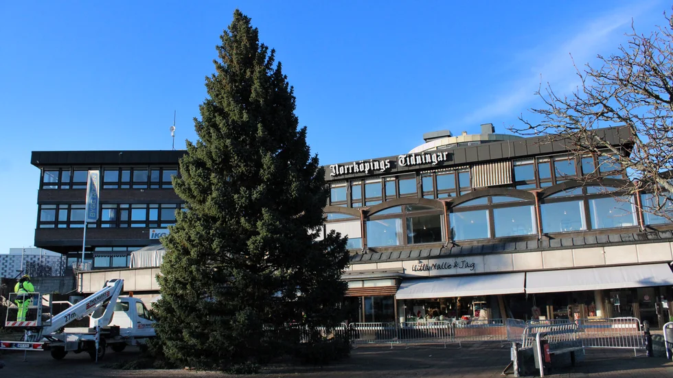 Håller stilen. Fjolårsgranen var speciell, även årets gran håller hög klass. "Blir det fula granar får man höra det", säger Kjell Bjernman, Finspångs Tekniska.