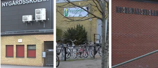 Väntade beslutet: Det här blir Skäggetorpsskolans nya namn