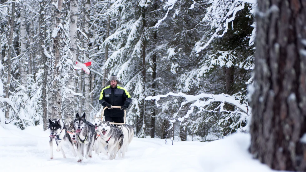 Mauro Marchesoni, Luleå Adventure.
