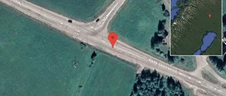Fallna träd skapar problem i trafiken på väg 99
