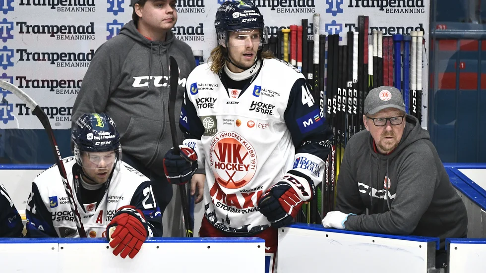 Björklöven-VIK.