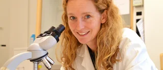 LiU-professor ska rädda liv med ny covid-19-forskning