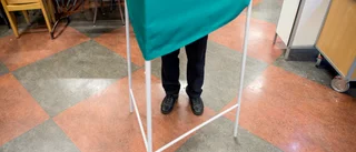 Några tankar om politiker           