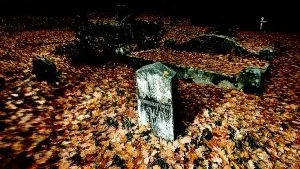 Foto: MAGNUS GLANS Begravningsplatsen utgör en del av Sankta Gertruds historia och omfattas av kulturminneslagen. Numera är platsen ödslig och mossa växer på många gravstenar, som vittnar om vilka bodde och arbetade på området.