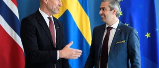 Svensk-norskt initiativ för lägre elpriser