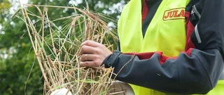 En inblick i lantbrukets metoder