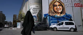 Israel: Journalist sköts "troligtvis" av oss