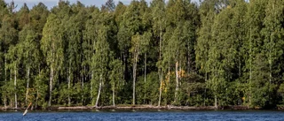 Vattenprover avslöjar oljespillet