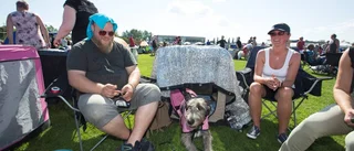 Folkfest med hundarna i fokus