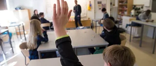 Öppet brev till våra politiker: Satsa på språk
