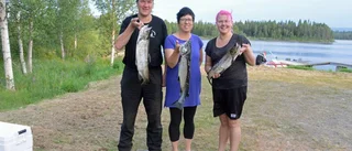 Fiskefest i Racksund