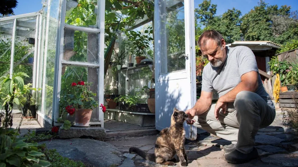 Familjen Andersson har alltid levt sparsamt och försökt ta tillvara det som går att använda. Växthuset är byggt med hjälp av återvunna dörrar och fönster.