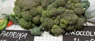 Ekologiska odlingar i Pålberget