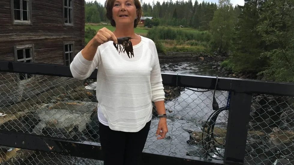 Berit Norberg fiskar vid kvarnen i Altersbruk.