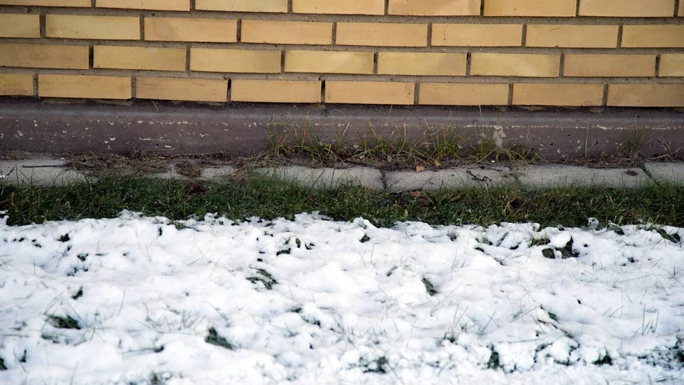 Var mössen tar sig in i lokalerna vet ingen med säkerhet. Det räcker emellertid med ett hål, stort som omkretsen på en penna för att det är möjligt.