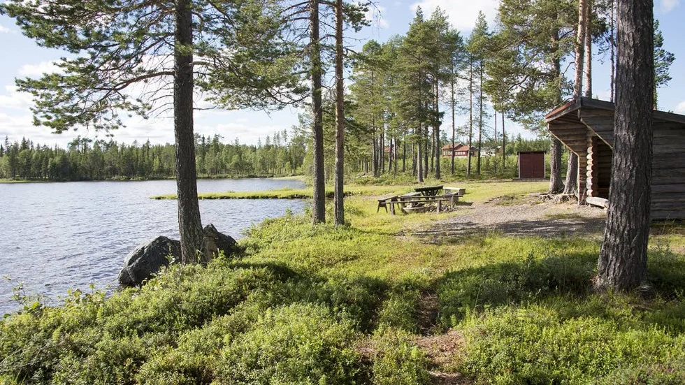 Suddesjaur har en fin badplats men i år, sommaren 2015, har det inte varit någon badsommar precis.