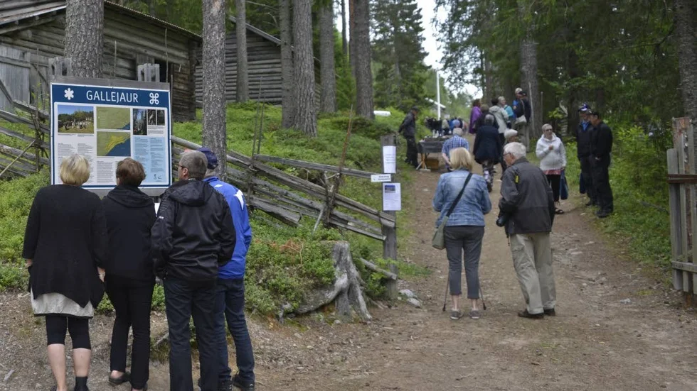 Många besökare vid hantverks- och trädgårdsdagarna i Gallejaur. ”Men vid invigningen år 2008 var det 1000 besökare i byn, så det är inget rekord, men visst är det mycket folk”, säger Crister Lövgren.