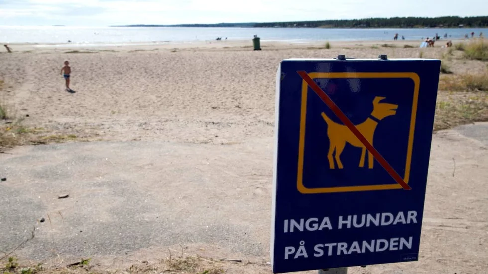 Inga hundar på stränderna vid Pite havsbad men de får gå kopplade inom övriga delar av området.