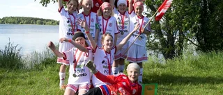 PIF-jubel efter bronset