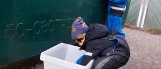 Miljökämpar på uppdrag
