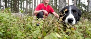 "Det är bra att någon plockar bären"