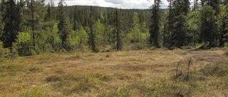 ”Upplevelsen av orörd natur blir förstörd”
