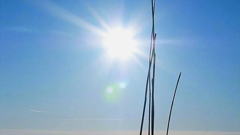 Miljö- och byggnämnden kommer att satsa drygt 700 000 kronor för att göra åtgärder i naturreservatet. (Arkivbild)