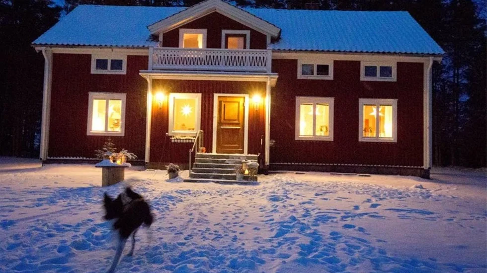 Gården Gamla snickeriet i kvällsljus. På tomten möter hundarna Thysa och Thelma upp.