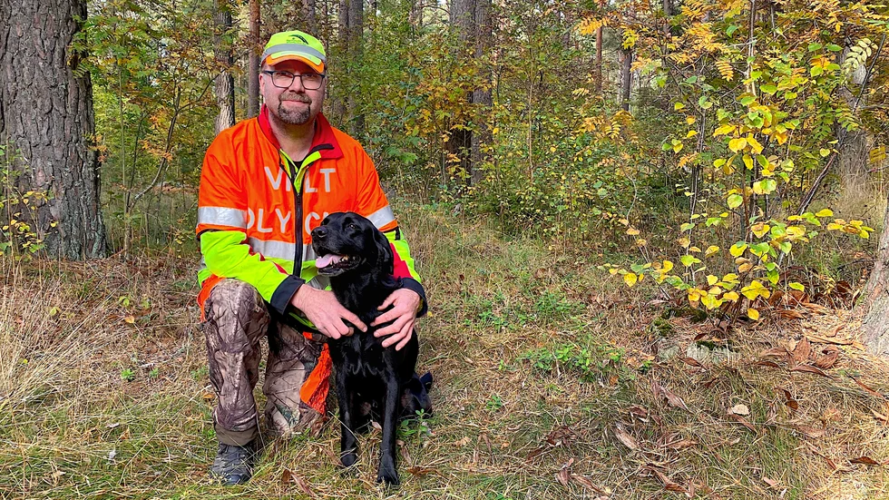 Det är många nätter som eftersöksjägaren Klas Philippen tillbringat i skogen tillsammans med åttaårige jaktlabradoren Wille, i sökandet efter trafikskadat vilt.”Jag vill jobba med mina hundar, det är en speciell känsla när man krupit runt i snåren med en hund som aldrig ger upp, och lyckas lösa det” säger Klas.