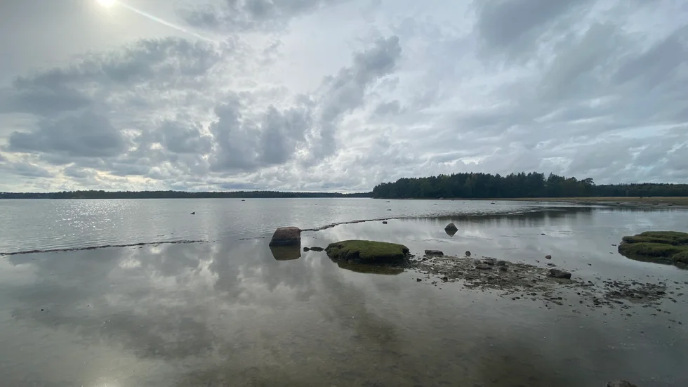 En våtmark ska anläggas i Snäckviken, Strandstuvikens naturreservat.