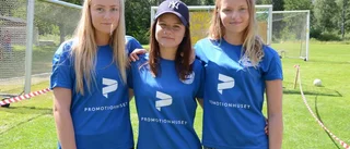 Tradition och nostalgi på Lotorps marknad