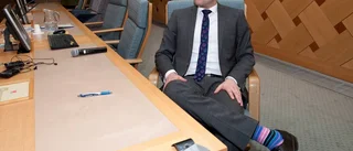 Reinfeldt ger SD vind i seglen