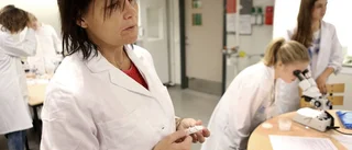 Enebyskolan firade kristallografiåret