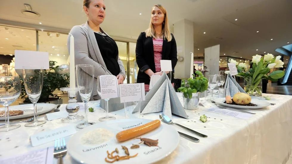 Dukat bordet. Det har Jessica Karlsson och Josefin Pikkarainen gjort i Linden Köpcentrum, med framtidens mat. Tillsammans med fyra andra studenter vid Linköpings univerisitet har de studerat framtidens mat. Arbetet har bland annat mynnat ut i utställningen på Linden.