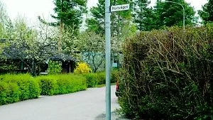 Skymmande häckar är en anledning till att hastigheten sänks till 30 kilometer i timmen på Mellangrind, som här på Mörtvägen.
FOTO: CHRISTINE LINDSTRÖM