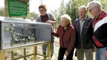 Det finns en mängd olika varianter av modellplan. Fyra flygentusiaster visar var sin: PO Edberg, Bo Harrysson, Folke Arvidsson och Knut Walther som har ett 50 år gammalt friplan.
FOTO: GUNNAR JOHANSSON