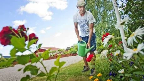 Det är Andreas Lindemann som ser till att det är lika fint utanför som innanför kolonilotternas staket på Pryssgårdens koloniträdgård.  Foto: Andreas Skogh